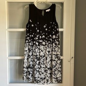 Calvin Klein womens dress. Never worn
